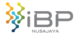 IBP Nusajaya